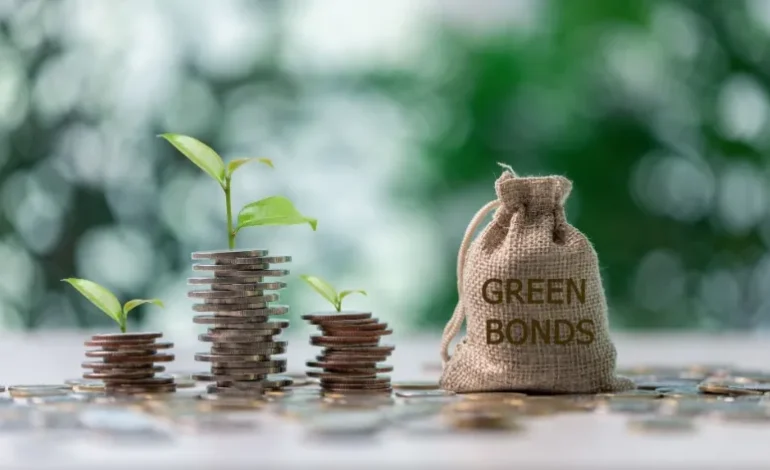 How Vatican Green Bonds Redefined Sustainable Faith-Based Investment