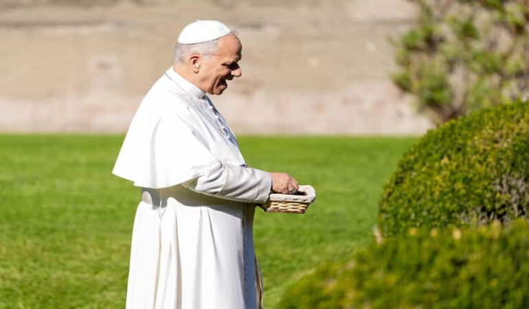 Inside the Holy Father’s 2025 Agenda: Youth, Ecology, and Synod Renewal