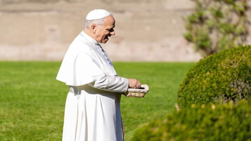 Inside the Holy Father’s 2025 Agenda: Youth, Ecology, and Synod Renewal