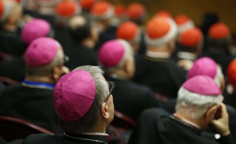 Reader Reflections: How the Synod 2025 Has Been Interpreted Around the World