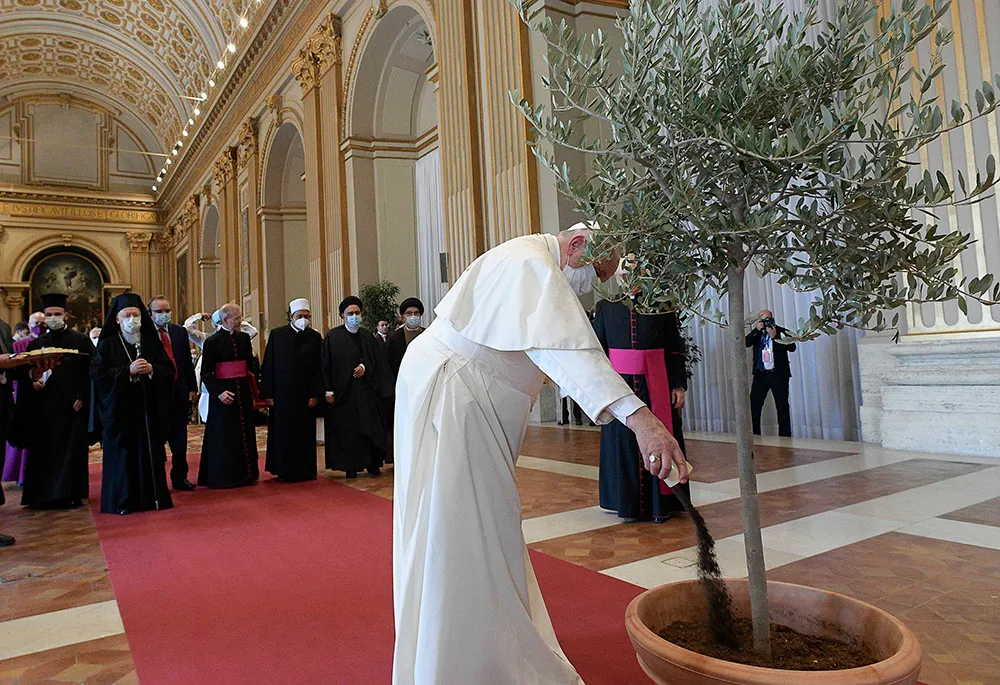 Vatican’s Climate Advocacy and Moral Call for Stewardship