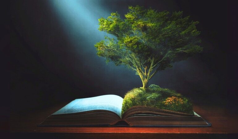 Christian Impact Investing and How Church Institutions Allocate Capital for Social Outcomes