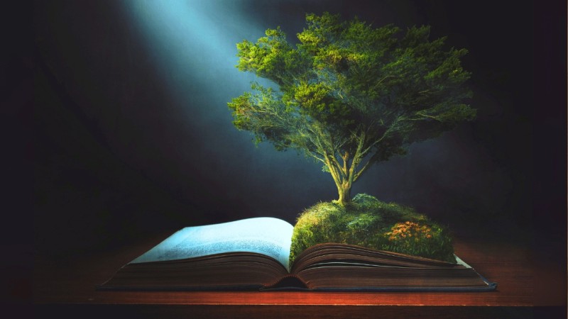 Christian Impact Investing and How Church Institutions Allocate Capital for Social Outcomes