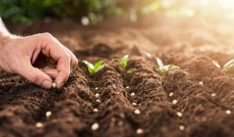 Jubilee Reflections Inspire Global Call for Economic Renewal