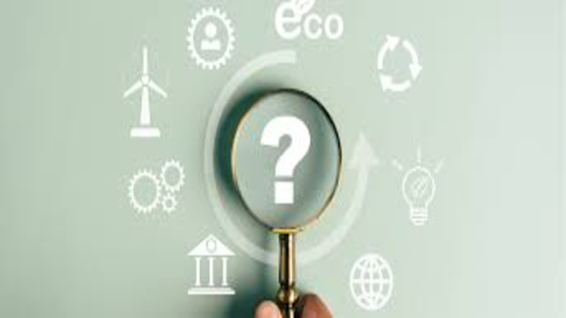 Vatican Evaluates Cross-Border Portfolio Balance for 2025 Stewardship Goals