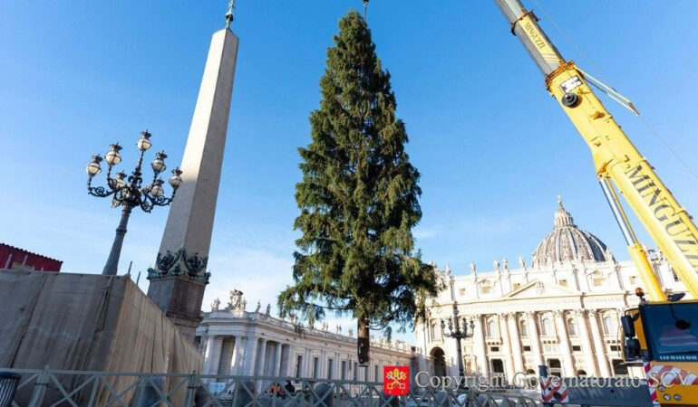 Vatican Unveils This Year’s Christmas Tree With Focus on Stewardship