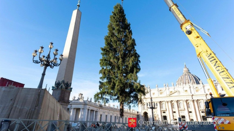 Vatican Unveils This Year’s Christmas Tree With Focus on Stewardship