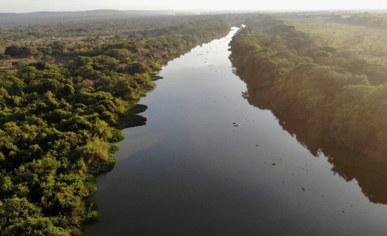 COP30 in Brazil: The Amazon Approaches a Critical Tipping Point