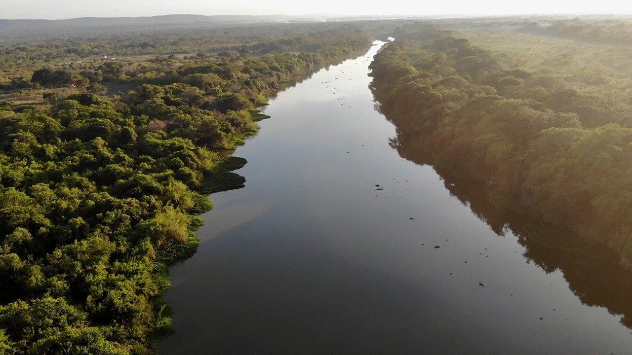 COP30 in Brazil: The Amazon Approaches a Critical Tipping Point