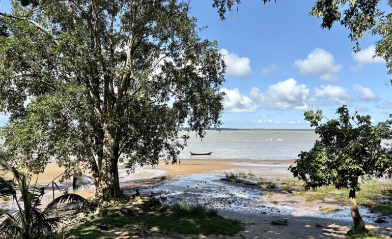 COP30: Ode to the Amazon