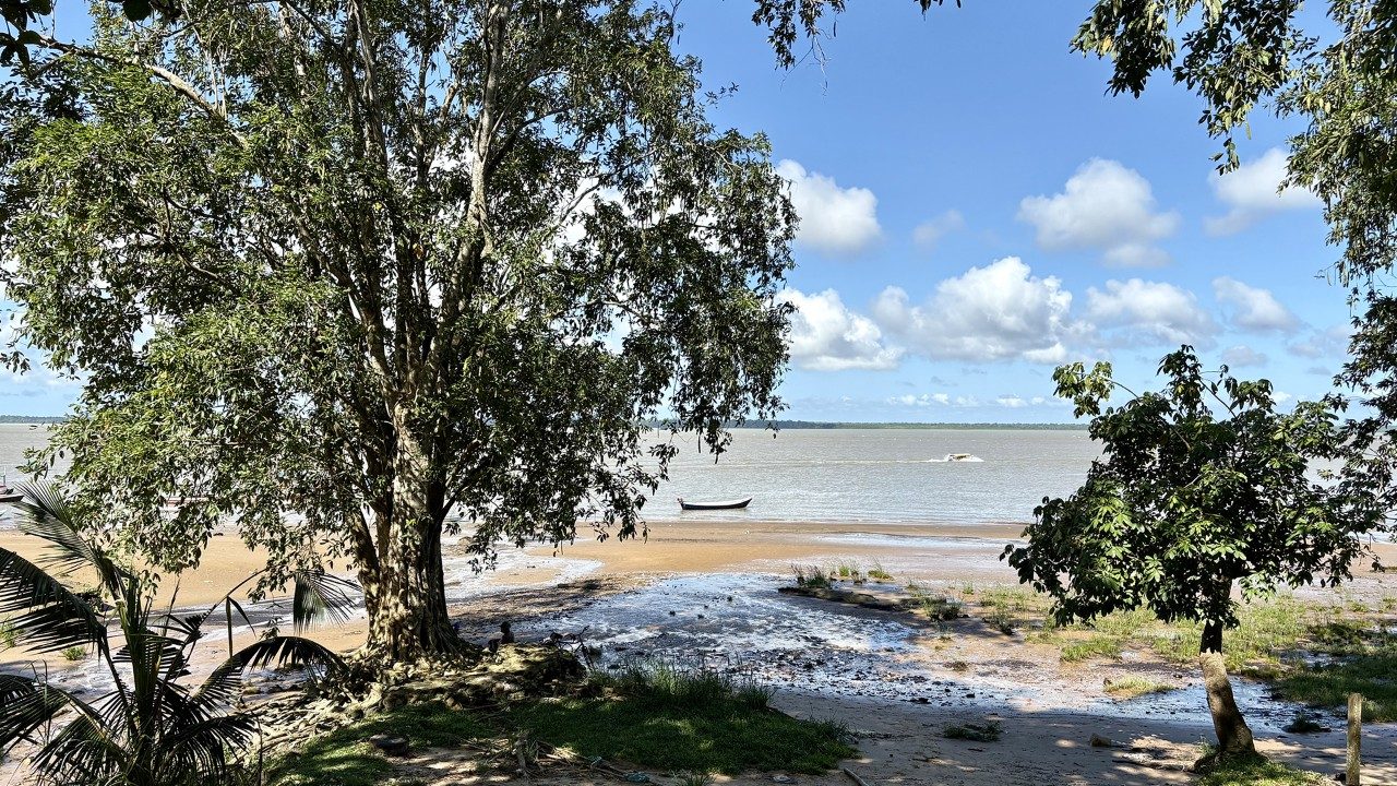 COP30: Ode to the Amazon