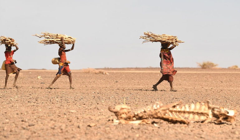 African Bishops Call for Climate Reparations as Drought Crisis Deepens