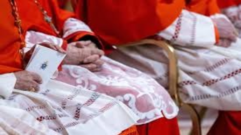 Inside a Future Conclave: Analysts Outline Shifts in Geographic Influence Among Cardinal Electors