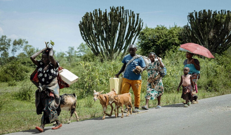 Vatican Voices Alarm Over Child Displacement in Eastern Congo