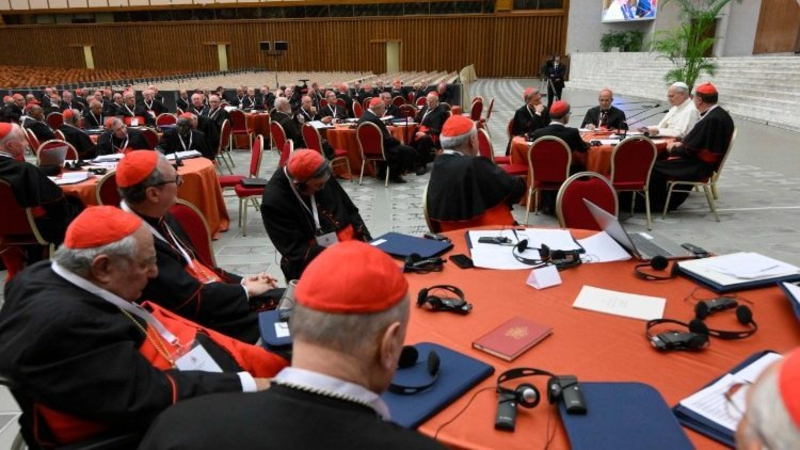 Cardinals Focus on Mission and Synodality at Consistory