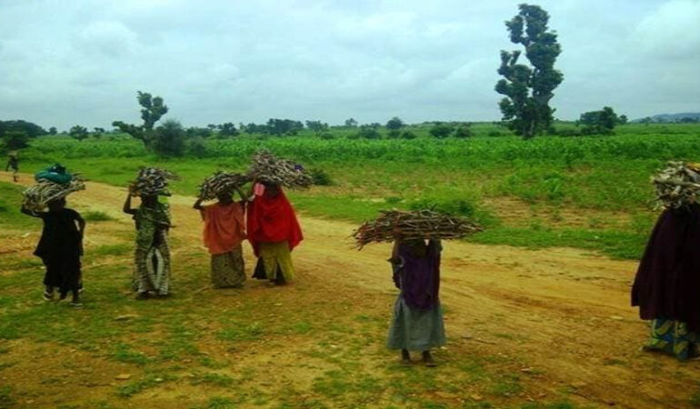 Deadly Ambush in Northwest Nigeria Deepens Security Fears