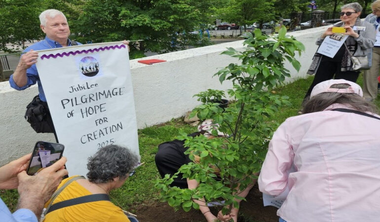 New York Catholics Look to Incoming Archbishop to Sustain Creation Care Efforts