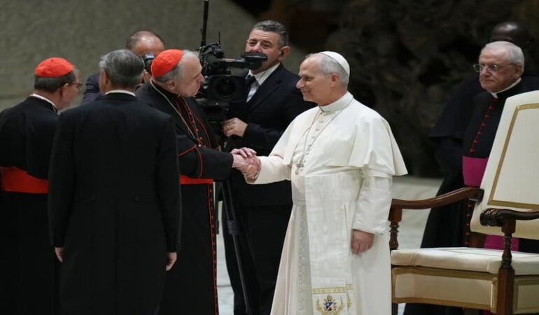 Pope Asks Cardinals to Shape Church Priorities
