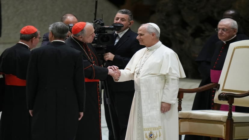 Pope Asks Cardinals to Shape Church Priorities
