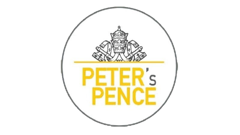 Peter’s Pence 2025 Review: How Global Donations Are Reshaping Vatican Financial Planning