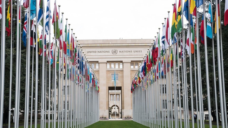 Holy See Renews Call for Global Moratorium on AI Weapons Development