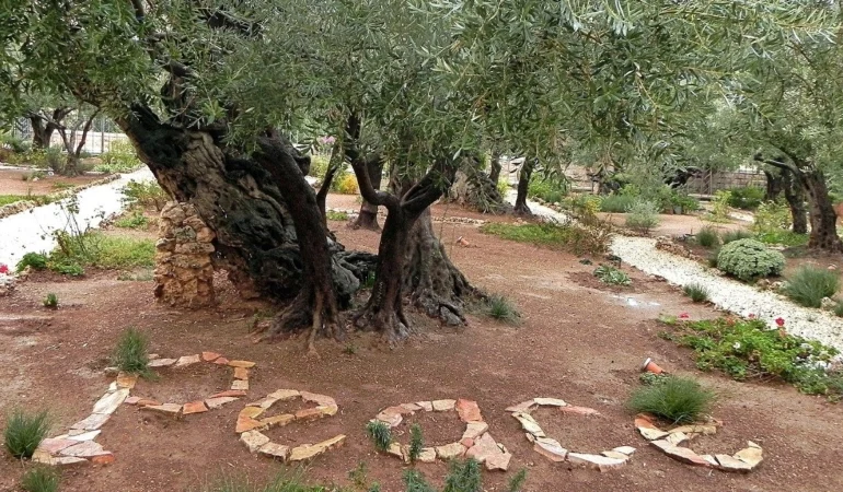 Holy Land Appeal Urges Global Christians to Support Faith Communities Through Good Friday Collection