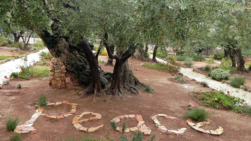 Holy Land Appeal Urges Global Christians to Support Faith Communities Through Good Friday Collection