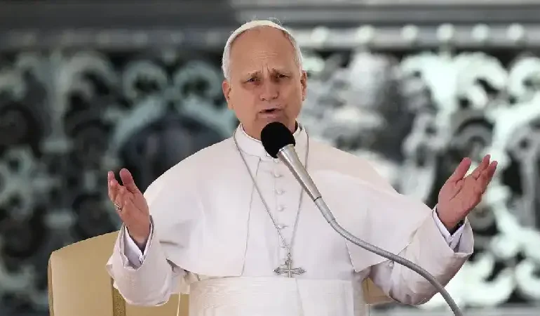 Pope Leo XIV Calls for Stronger Global Solidarity During Vatican Audience on Social Responsibility