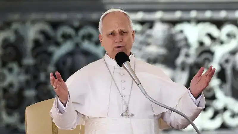 Pope Leo XIV Calls for Stronger Global Solidarity During Vatican Audience on Social Responsibility