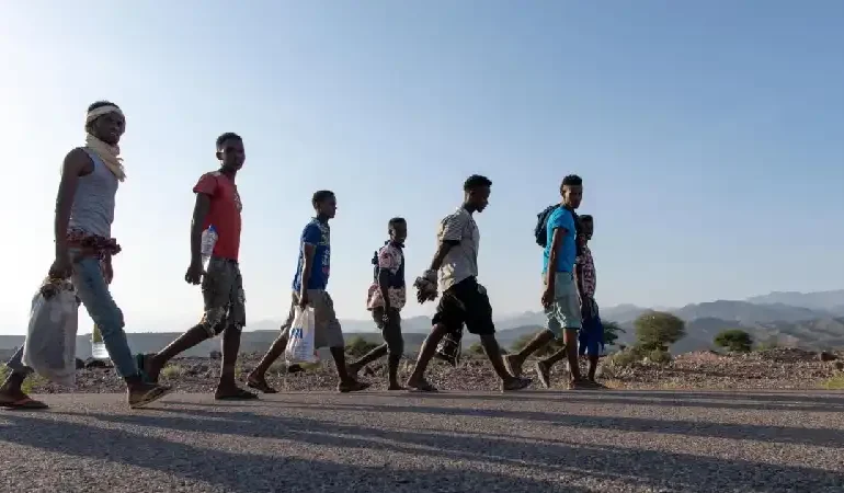 Human Dignity and Migration Policy Remain Central to Church Ethics as Global Displacement Pressures Rise