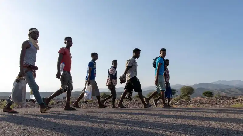 Human Dignity and Migration Policy Remain Central to Church Ethics as Global Displacement Pressures Rise