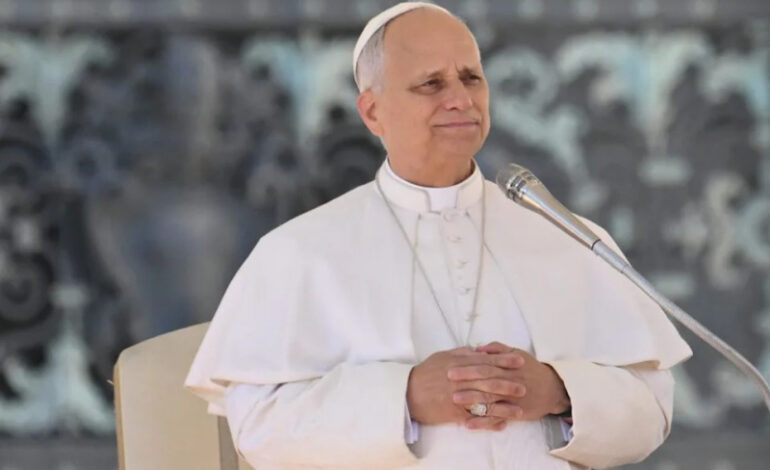 Pope Leo XIV Calls for Ethical Leadership in Politics During Meeting With European Parliament Delegation