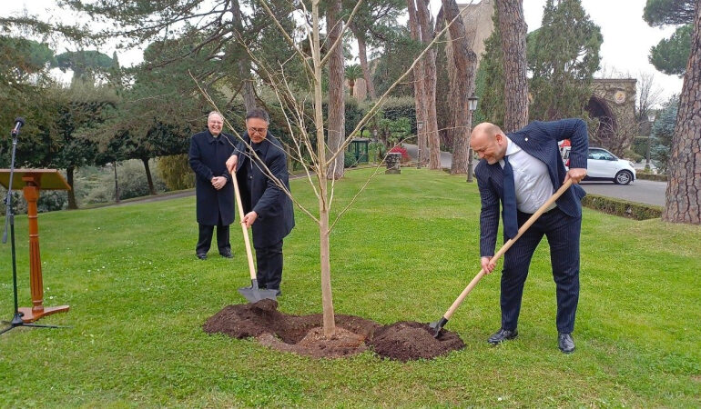 Vatican Gardens Receive Ginkgo Tree as Symbol of Environmental Responsibility and Care for Creation