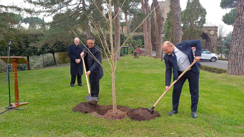 Vatican Gardens Receive Ginkgo Tree as Symbol of Environmental Responsibility and Care for Creation